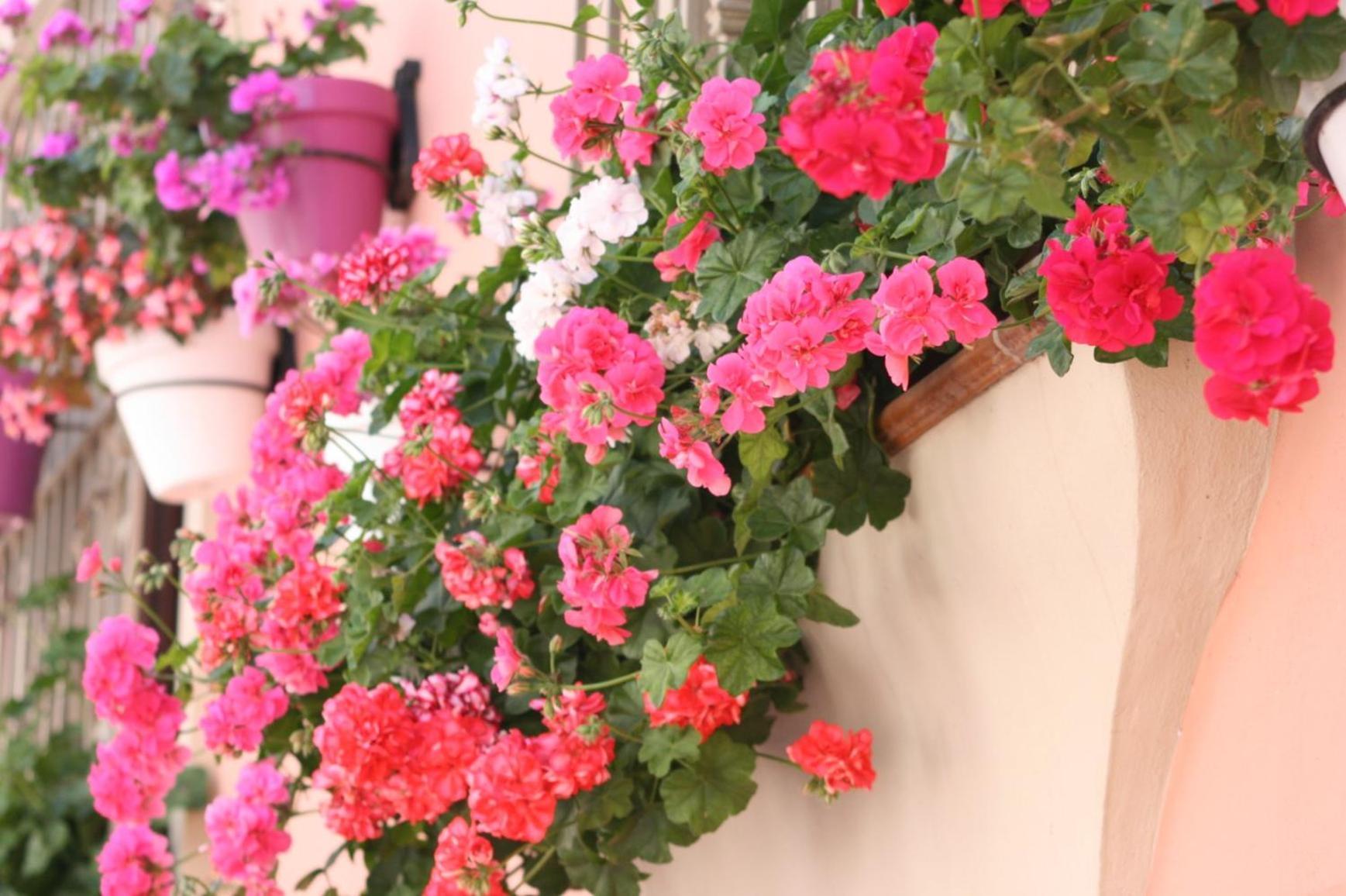 Apartamentos Turisticos Casa De La Borrega Estepona Luaran gambar
